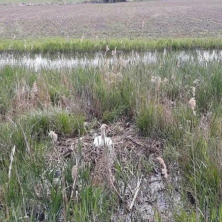 Apartament Nad Morzem. Wyspa Sobieszewska Gdańsk