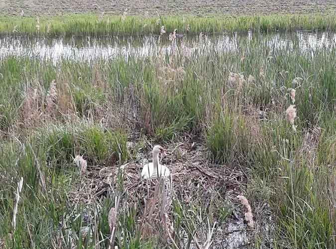 Wyspa Sobieszewska Apartament Nad Morzem Sobieszewo グダニスク